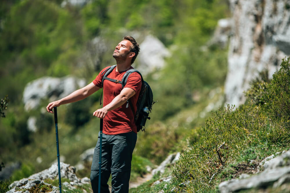 benefits rhodiola rosea health