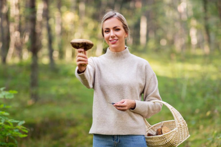 mushrooms nootropic